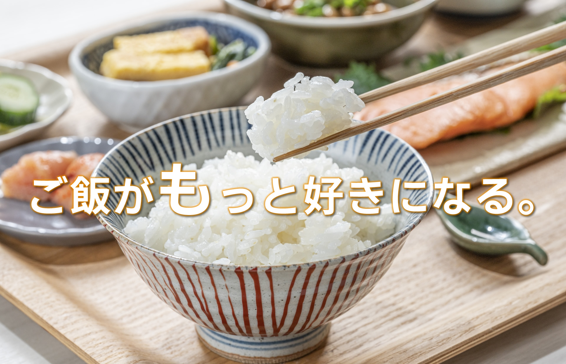 ご飯のお供・おかず